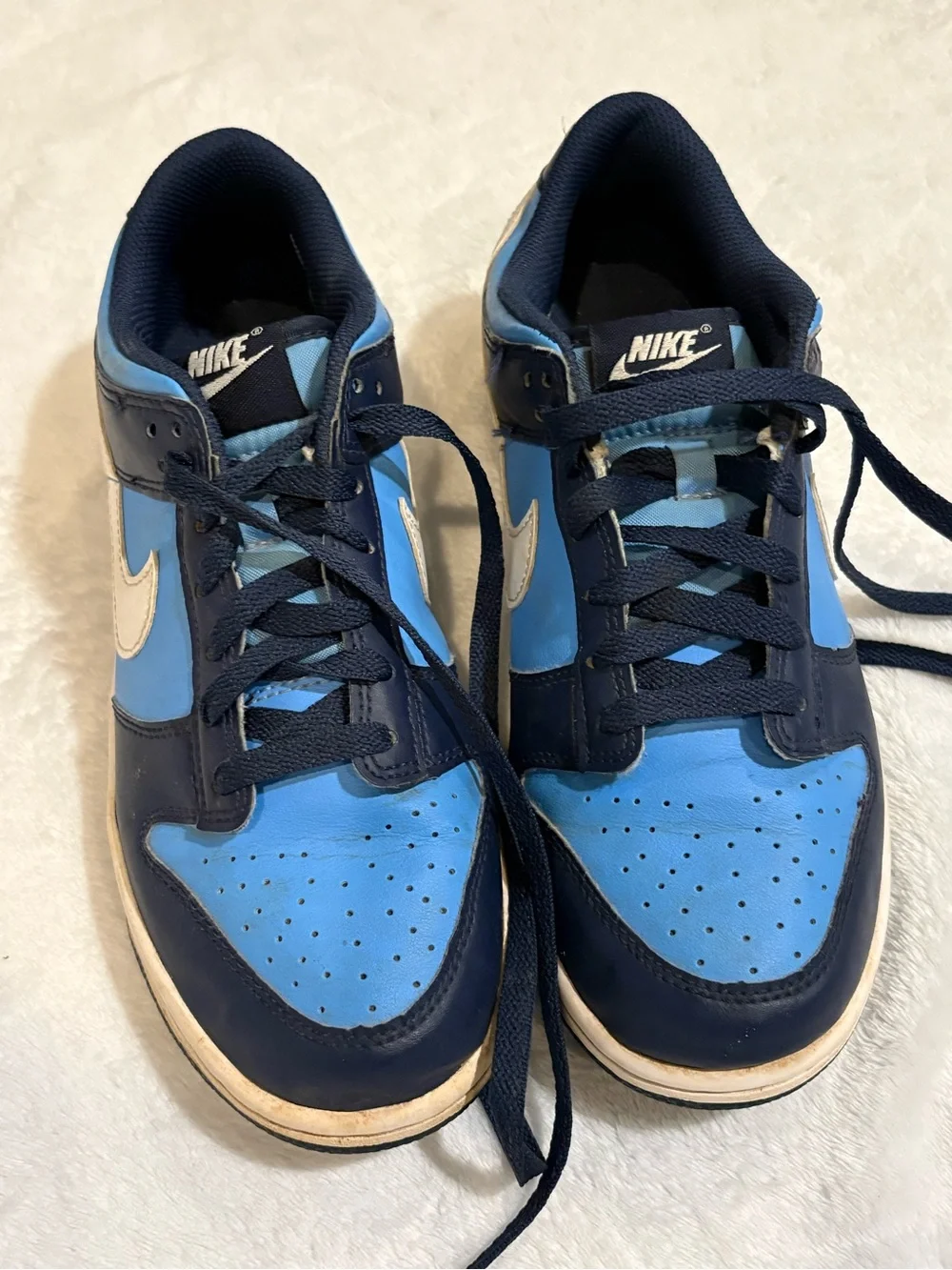Nike Low-Top Sneakers in Sky Blue and Navy